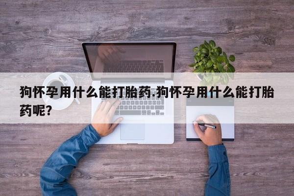 米非米索怎么购买狗怀孕用什么能打胎药.狗怀孕用什么能打胎药呢？