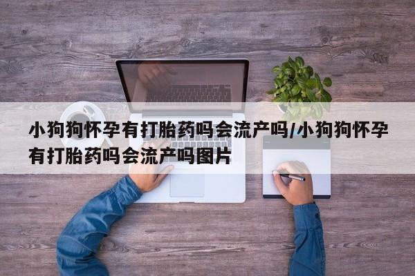 米非米索怎么购买小狗狗怀孕有打胎药吗会流产吗/小狗狗怀孕有打胎药吗会流产吗图片