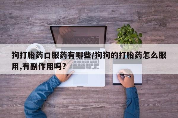 米非米索怎么购买狗打胎药口服药有哪些/狗狗的打胎药怎么服用,有副作用吗?