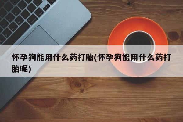 米非米索怎么购买怀孕狗能用什么药打胎(怀孕狗能用什么药打胎呢)