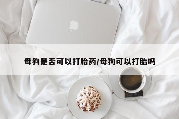 米非米索怎么购买母狗是否可以打胎药/母狗可以打胎吗